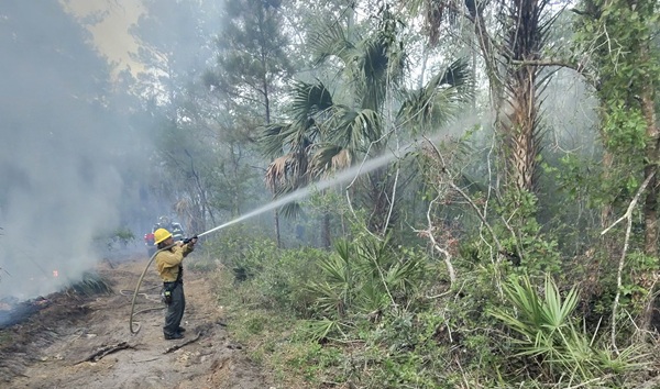 Fire in Levy County HardisonInk.com
