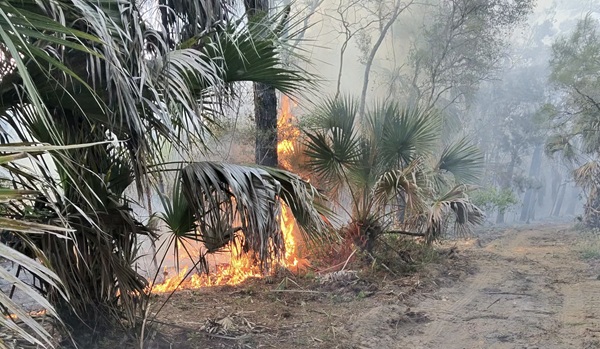 Fire in Levy County HardisonInk.com