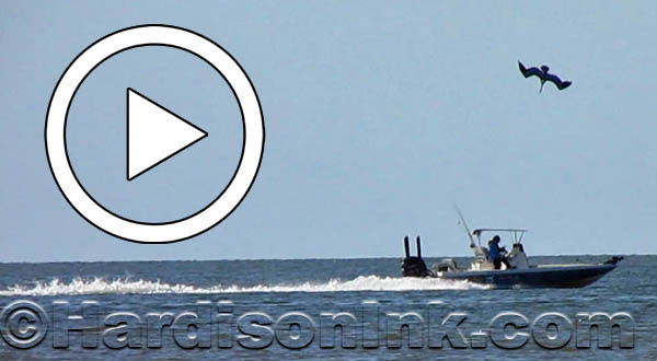 Cedar Key Park and Beach HardisonInk.com