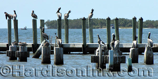 Cedar Key Beach HardisonInk.com