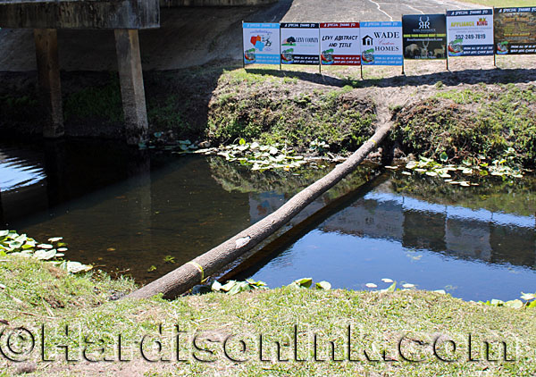 f Gulf Hammock Wild Hog Canoe Race Inc. 