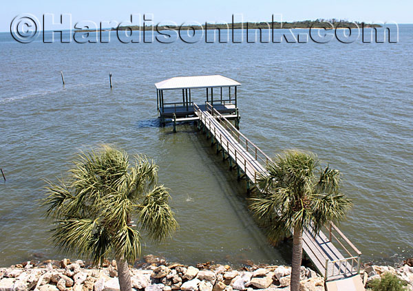 Scientists Help Community HardisonInk.com