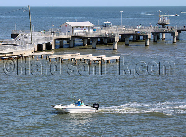 Scientists Help Community HardisonInk.com