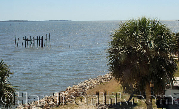 Scientists Help Community HardisonInk.com