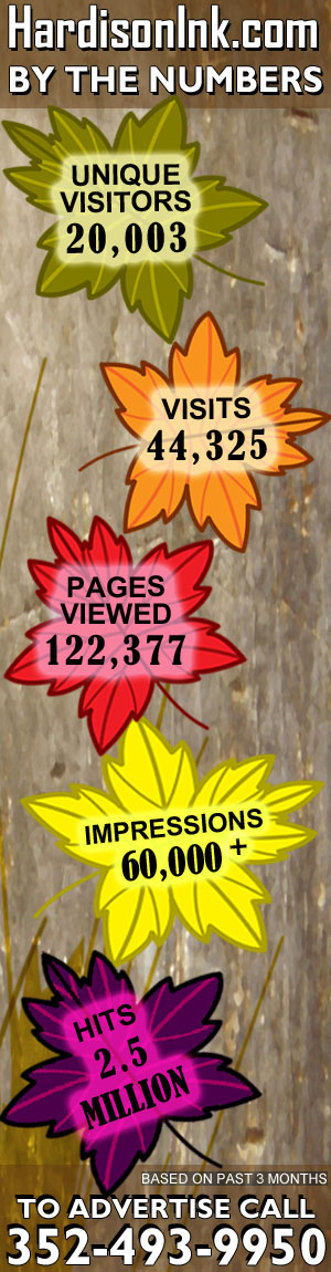 Daily News Website Traffic 