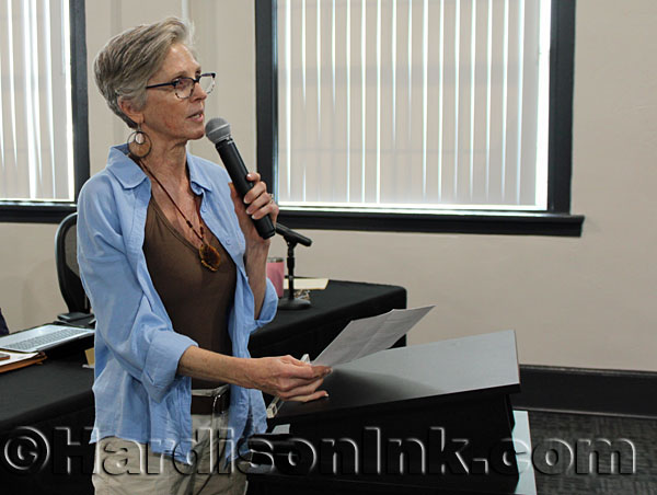 Data Centers Levy County HardisonInk.com