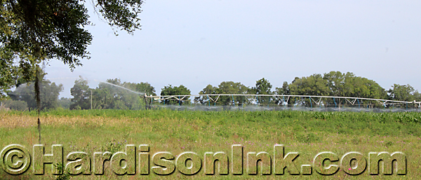 Drought In Levy County causes wells to dry up Hardisonink.com