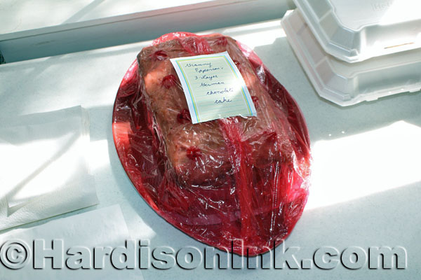 Williston Florida Rotary HardisonInk.com